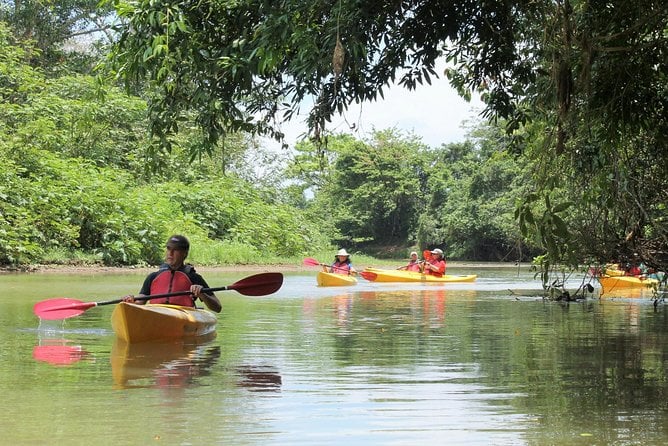 La Fortuna Wildlife Safari Float