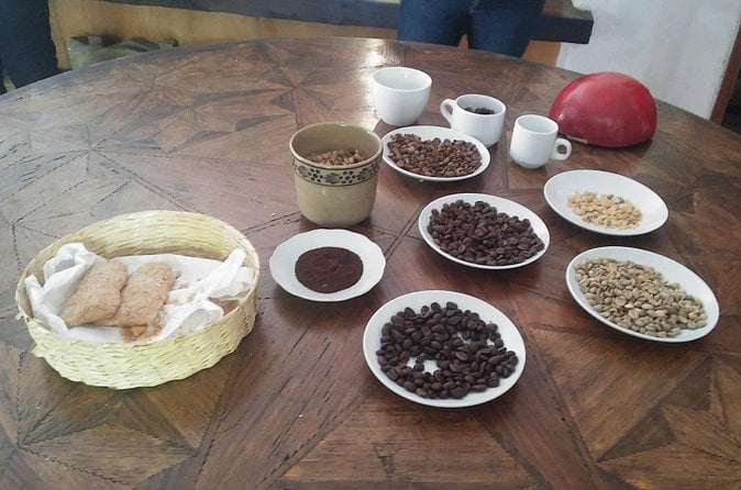 Xalapa, Xico & Coatepec Tour