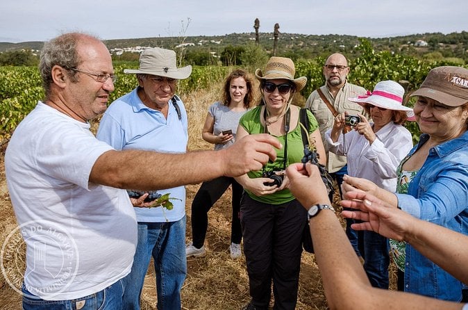Algarve Wine Tasting
