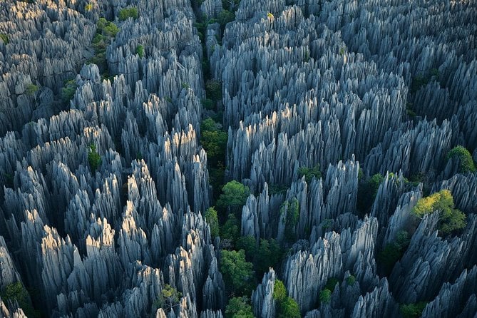 Kunming Stone Forest Day Tour