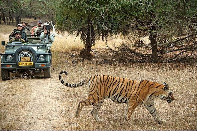 Jaipur Tour with Ranthambore Tiger Safari