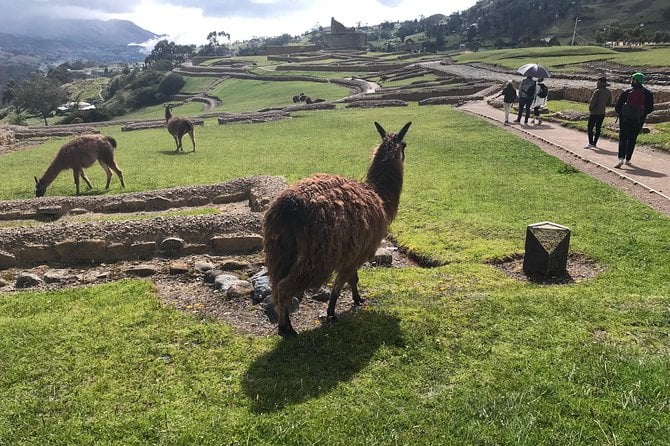 Ingapirca Ruins Tour