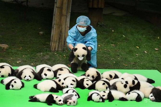 Western Sichuan Tour
