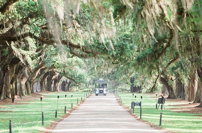 Boone Hall Plantation Tour