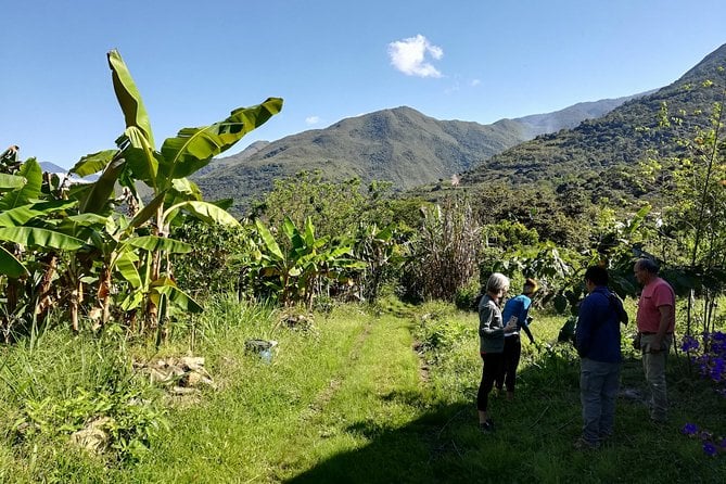 Cacao Farm Experience Cusco