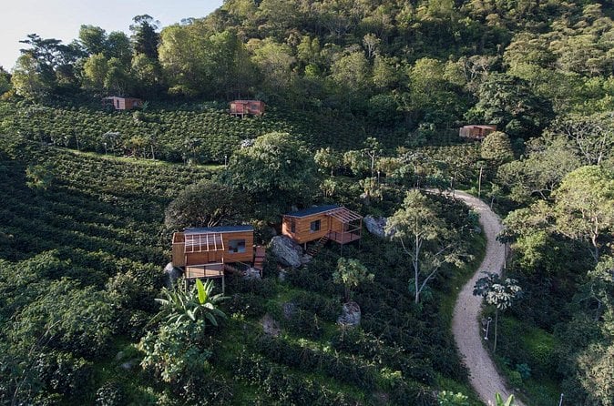 Coffee Experience in Bogotá