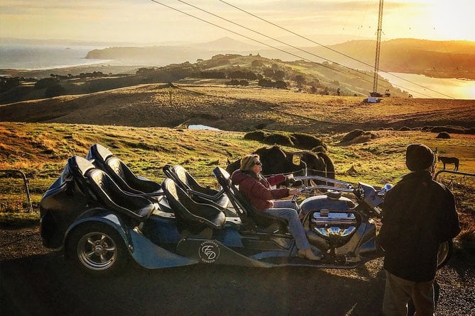Dunedin & Peninsula Day Tour