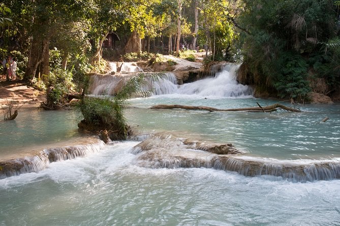 Kuang Si Waterfall & Rice Farm Tour