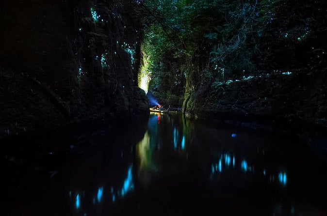 Big Kanu Glowworm Tour