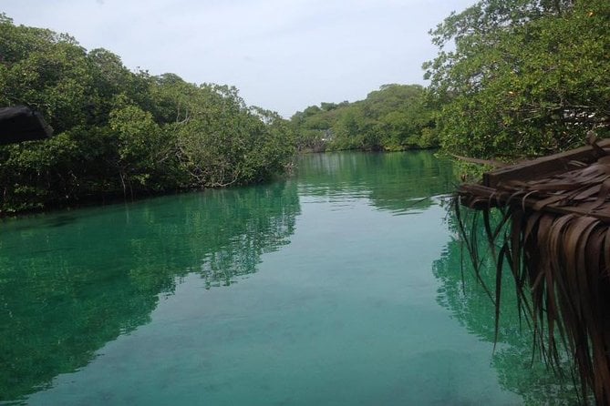 Roatan Mangrove Tunnel Tour