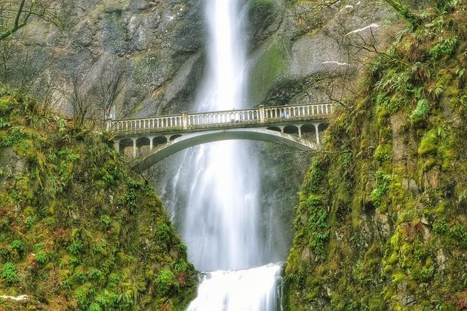 Multnomah Falls Tour