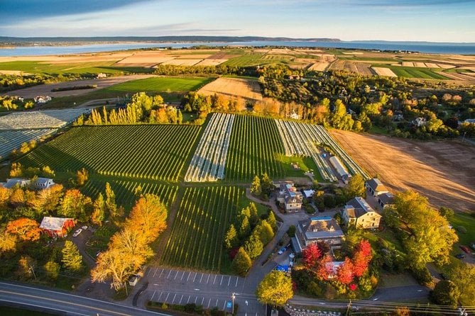 Nova Scotia Wine Tour