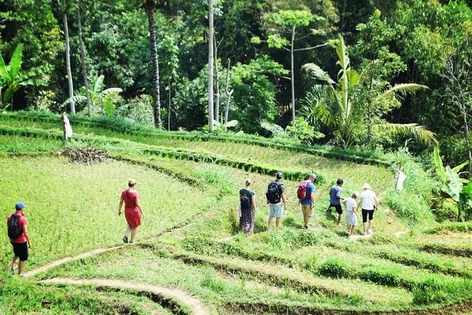 Tetebatu Village Tour