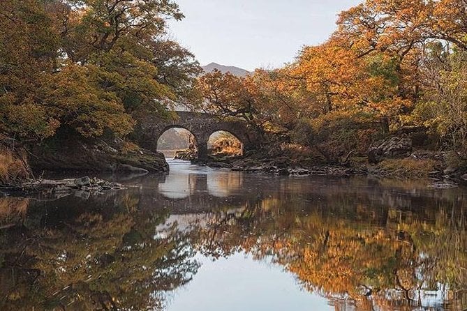 Lakes of Killarney Boat Tour