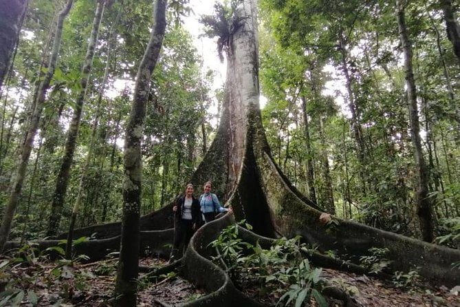 Amazon Wonder Expeditions