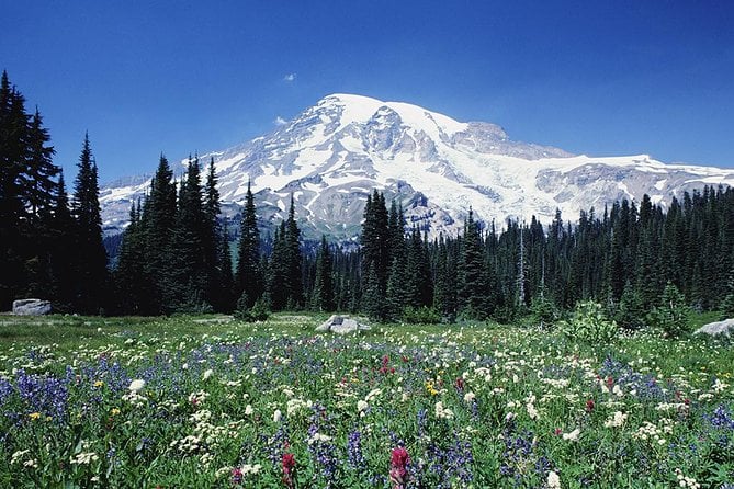 Mount Rainier National Park Tour