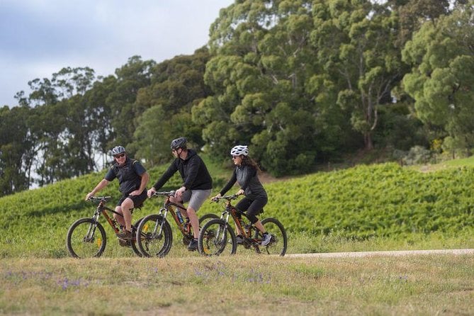 Adelaide HandleBar Bike Tour