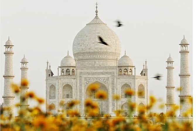 Delhi Agra Jaipur Transfer Journey
