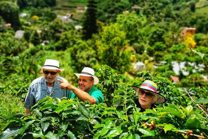 Medellín Coffee Farm Tour
