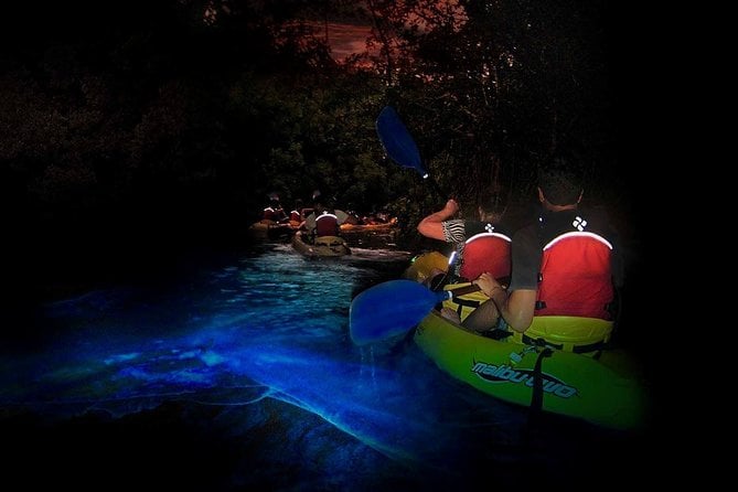 El Yunque River & Beach Adventure