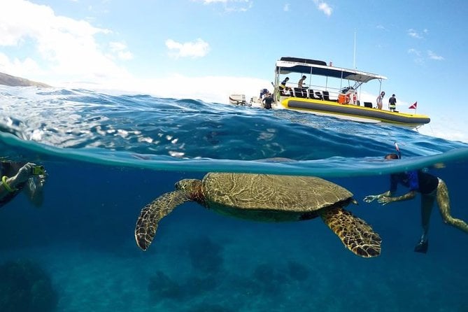 Lanai Snorkel & Dolphin Encounter