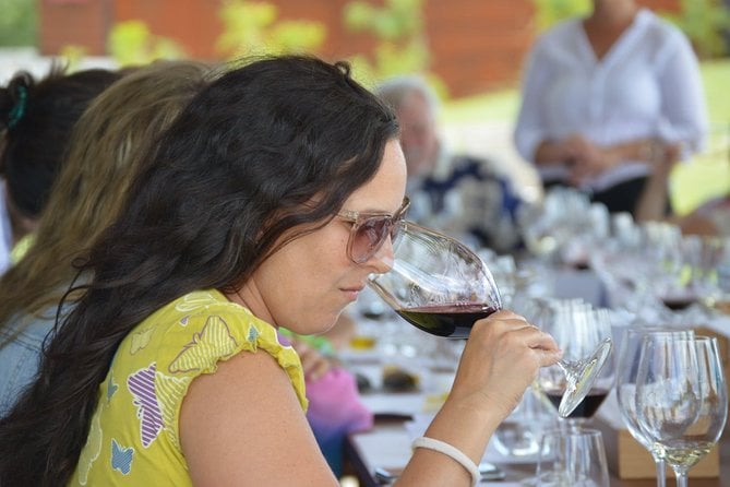 Montevideo Uruguay Wine Tour