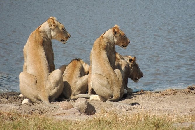 Tala Game Reserve Safari Adventure