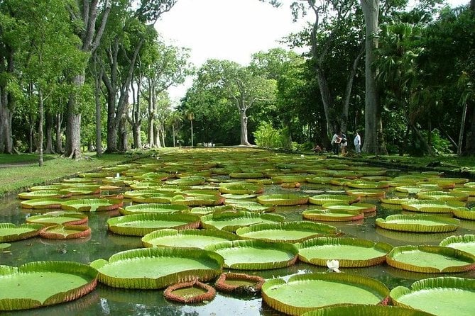 Mauritius North Tour