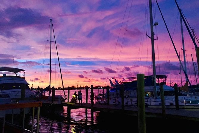 Anna Maria Island Dolphin Tour