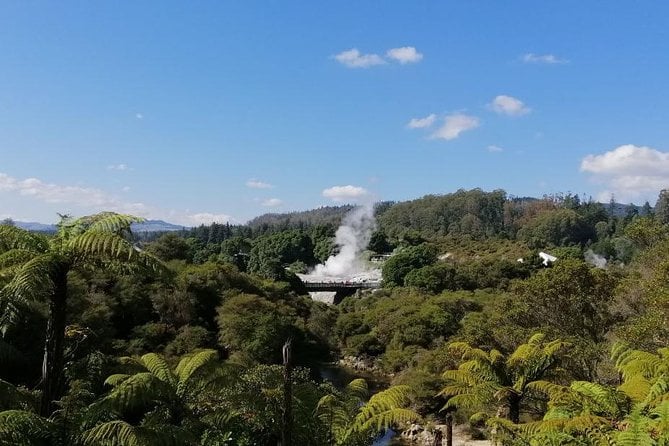 Te Puia: Geothermal & Māori Heart