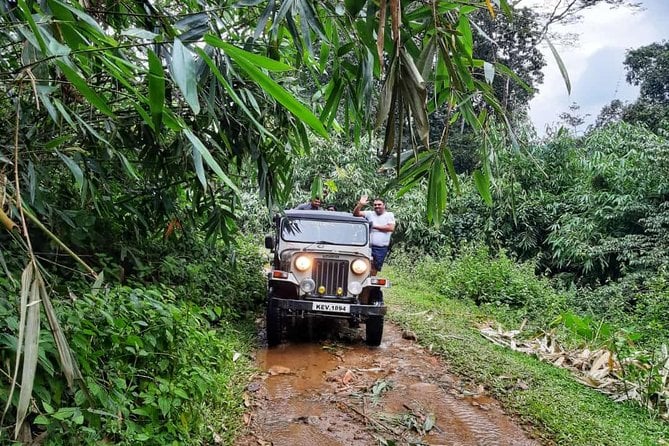 Anakulam Jeep Safari