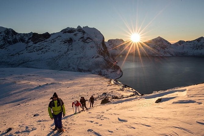 Tromsø Snowshoe Hike