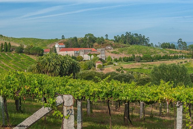 Albariño Wine Tour