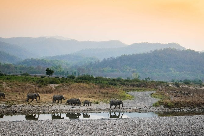 Chilla Range Jeep Safari