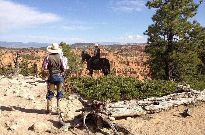 Ruby's Horseback Adventures