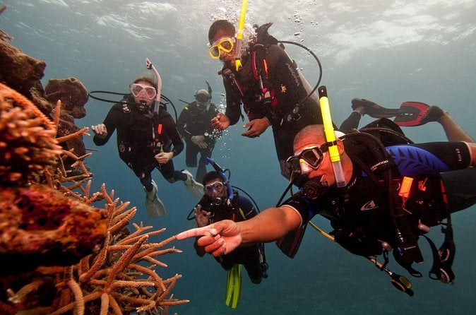Negombo Deep Sea Fishing Adventure