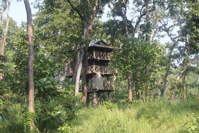 Chitwan Jungle Tower Stay