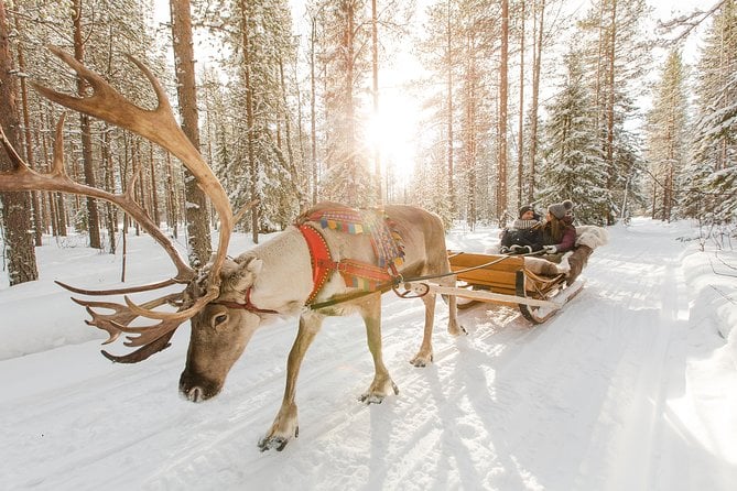 Reindeer Safari in Lapland