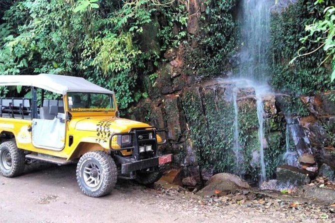 Tijuca Forest Jeep Tour