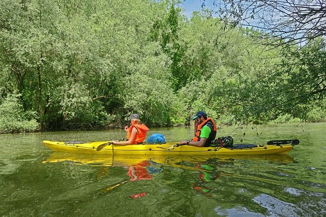 Great War Island Kayak Tour