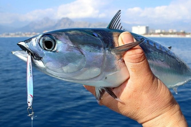Big Game Fishing Side