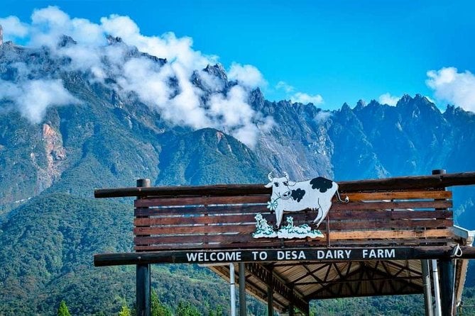 Kinabalu Park Tour