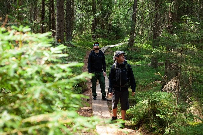 Liesjärvi National Park Hike