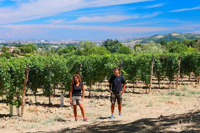 Bologna Wine Tasting