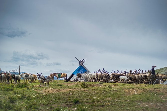 Mongolia Horse Trekking Adventure