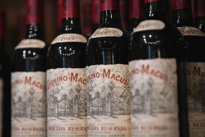 Cousi帽o Macul Vineyard Tour