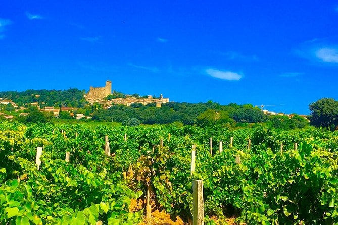 Provence Wine Tasting