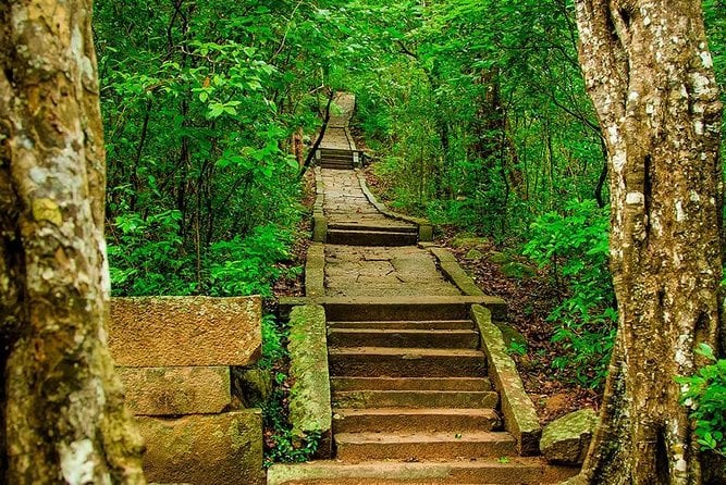 Sigiriya & Minneriya Safari Tour