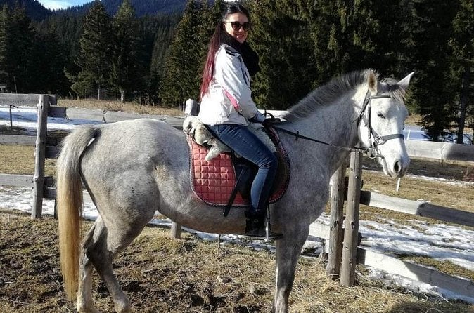 Perelik Top Horse Riding