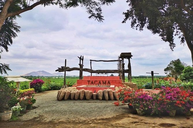 Ica Pisco & Wine Tasting Tour